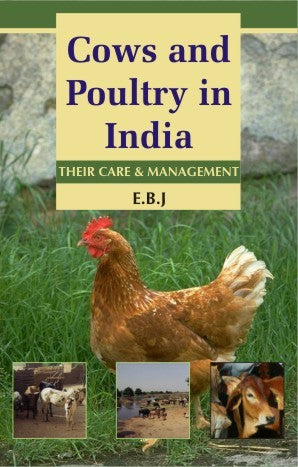 Cows and Poultry in India: Their Care and Management 2nd edn By E B J