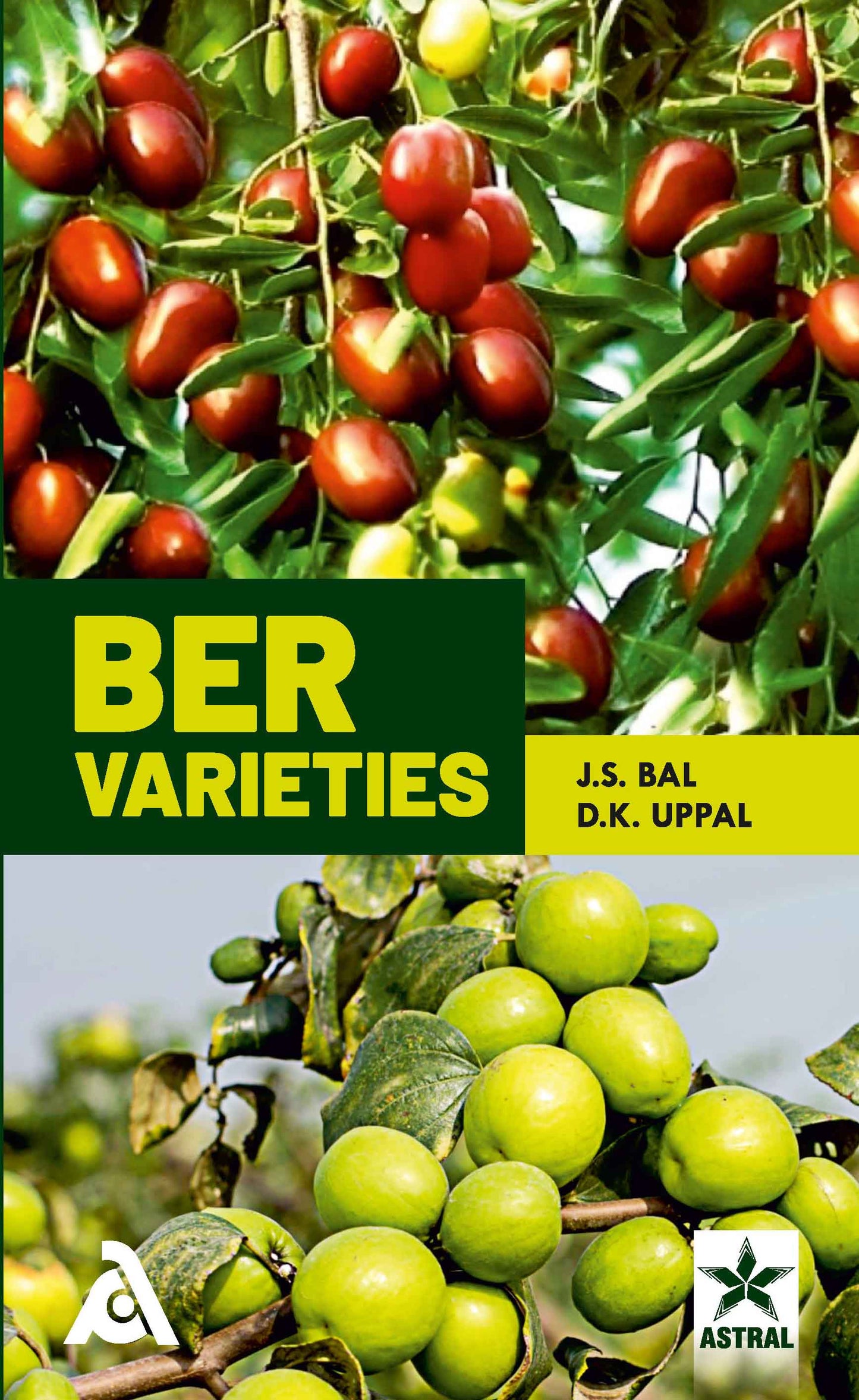 Ber Varieties By J S Bal