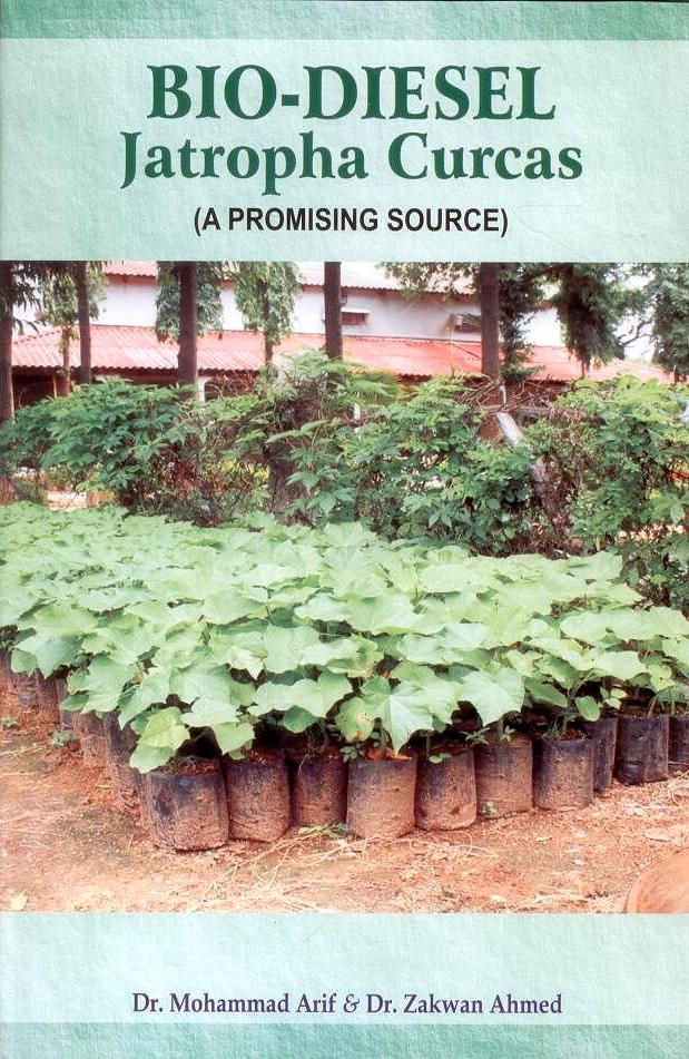 Biodiesel Jatropha Curcas (A Promising Source) By Mohammad Ashraf Khan