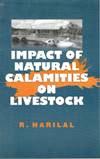 Impact of Natural Calamities on Livestock By R Harilal