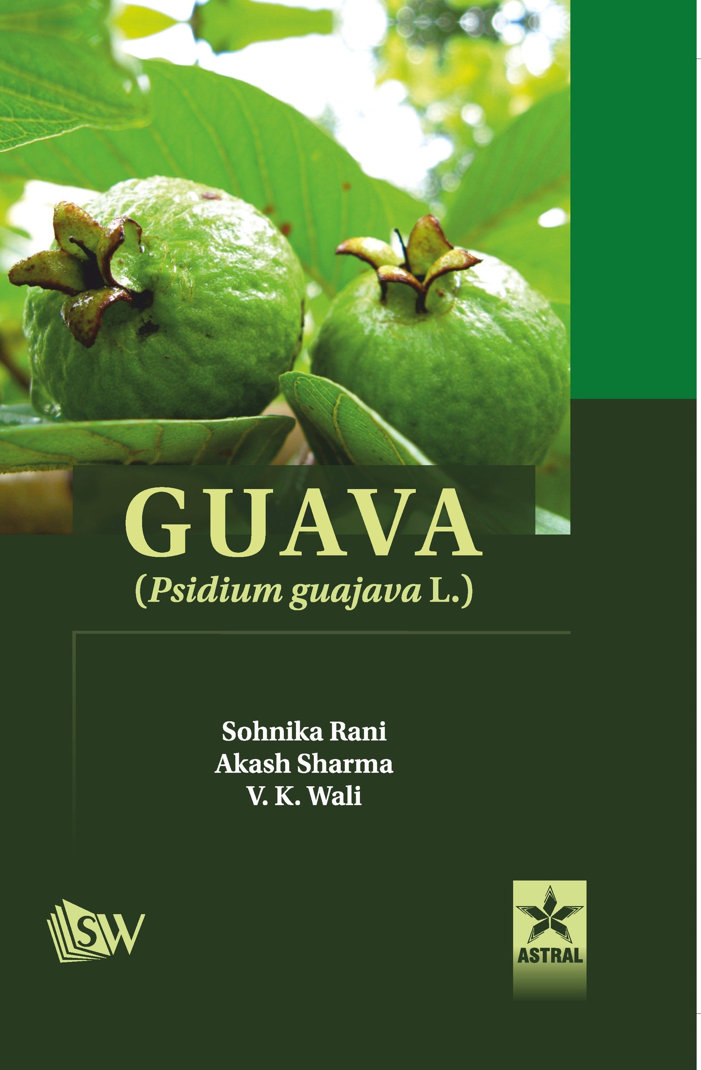 Guava: Psidium Guajava L. By Akash Sharma