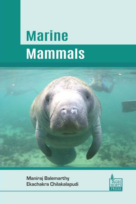 Marine Mammals By Maniraj Balemarthy