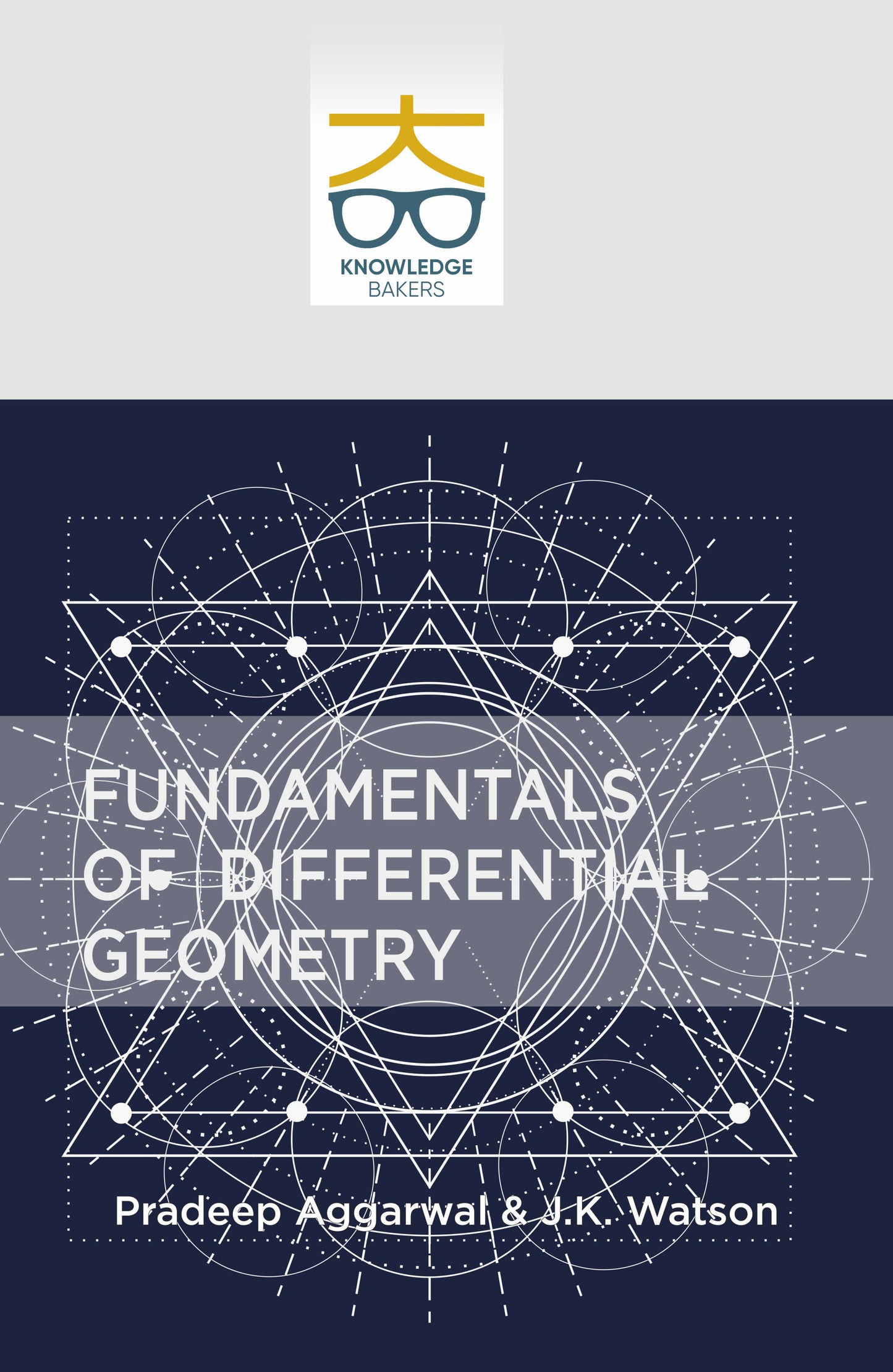 Fundamentals of Differential Geometry By Pradeep Aggarwal