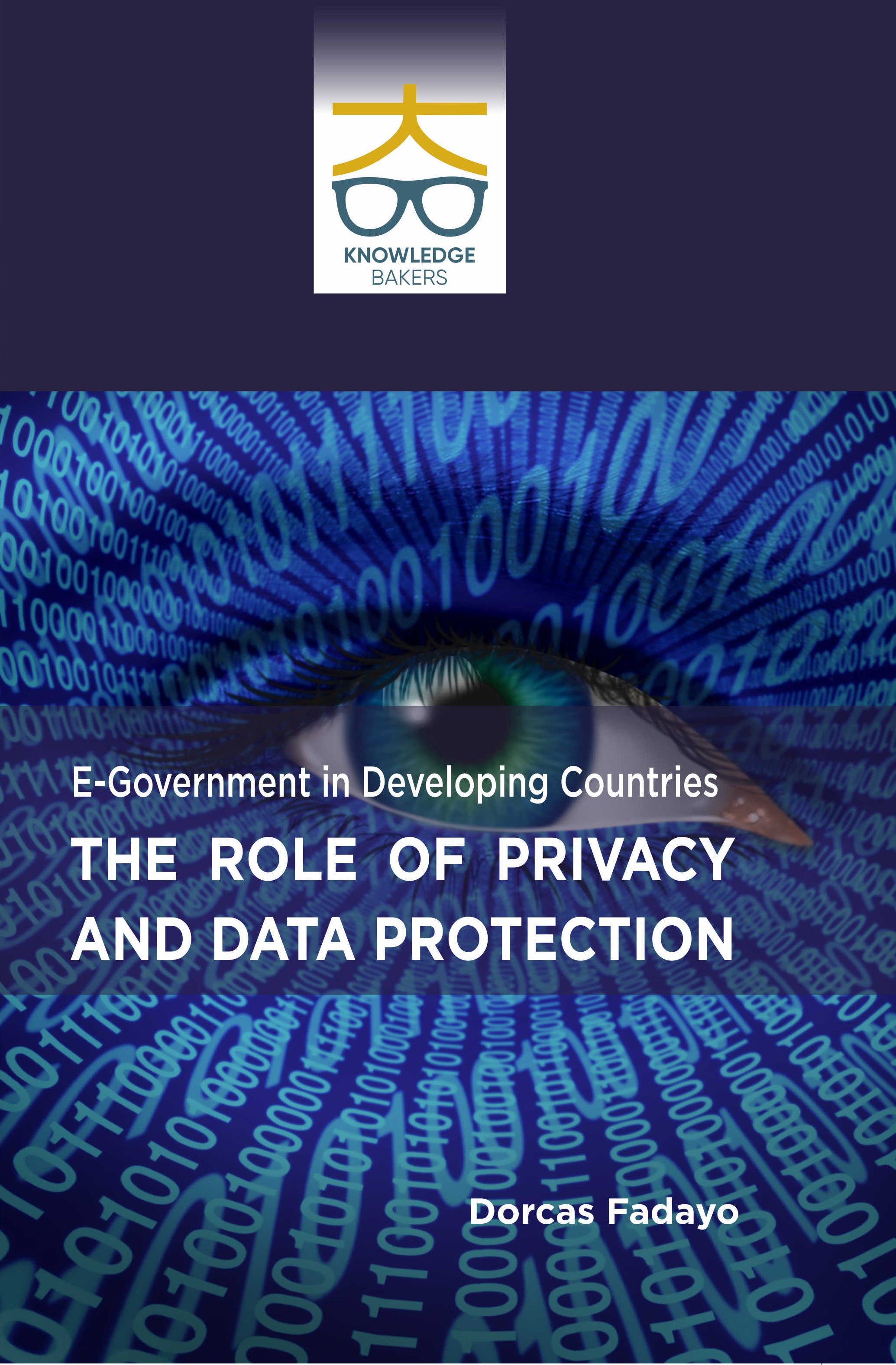 E-Governance in Developing Countries: The Role of Privacy and Data Pro ...