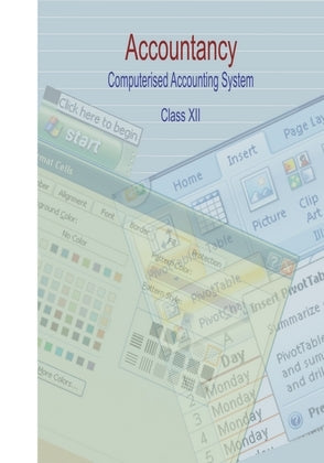 NCERT Accountancy Computerized Accounting System - Textbook For Class - 12 - 12127