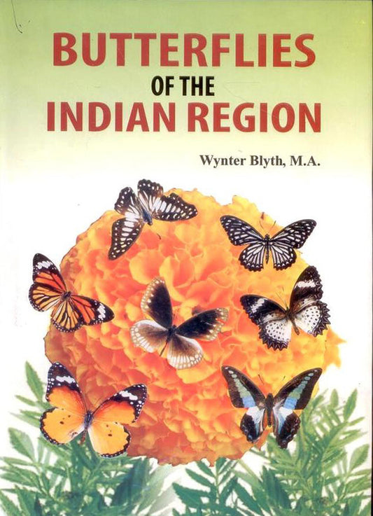 Butterflies of the Indian Region By M A Wynter Blyth