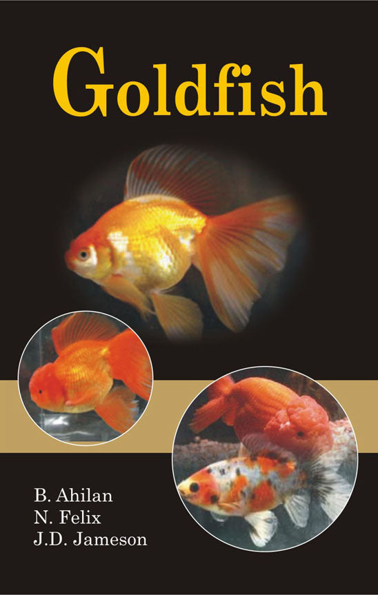 Goldfish By B. Ahilan