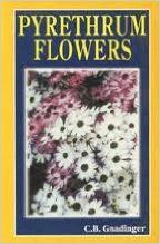 Pyrethrum Flowers By C B Gnadinger