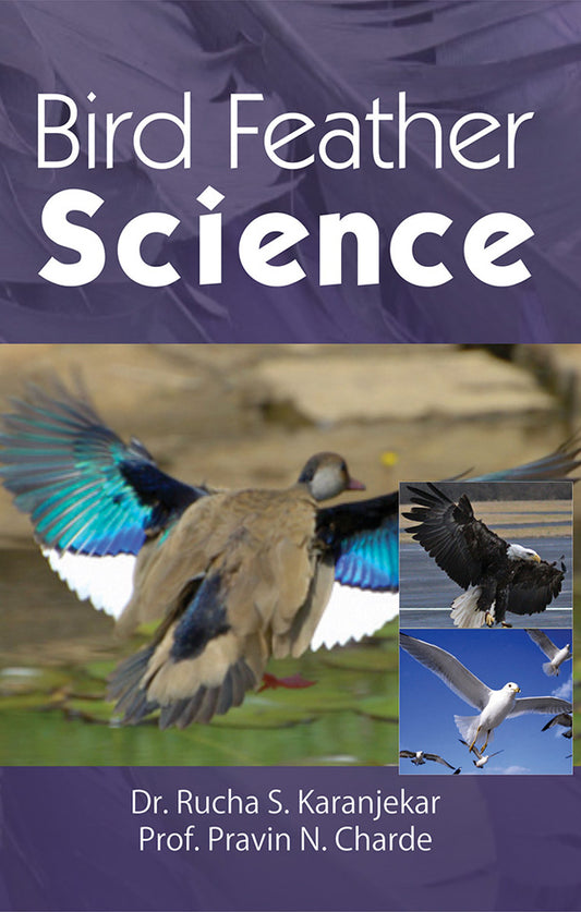 Bird Feather Science By Rucha S Karanjekar