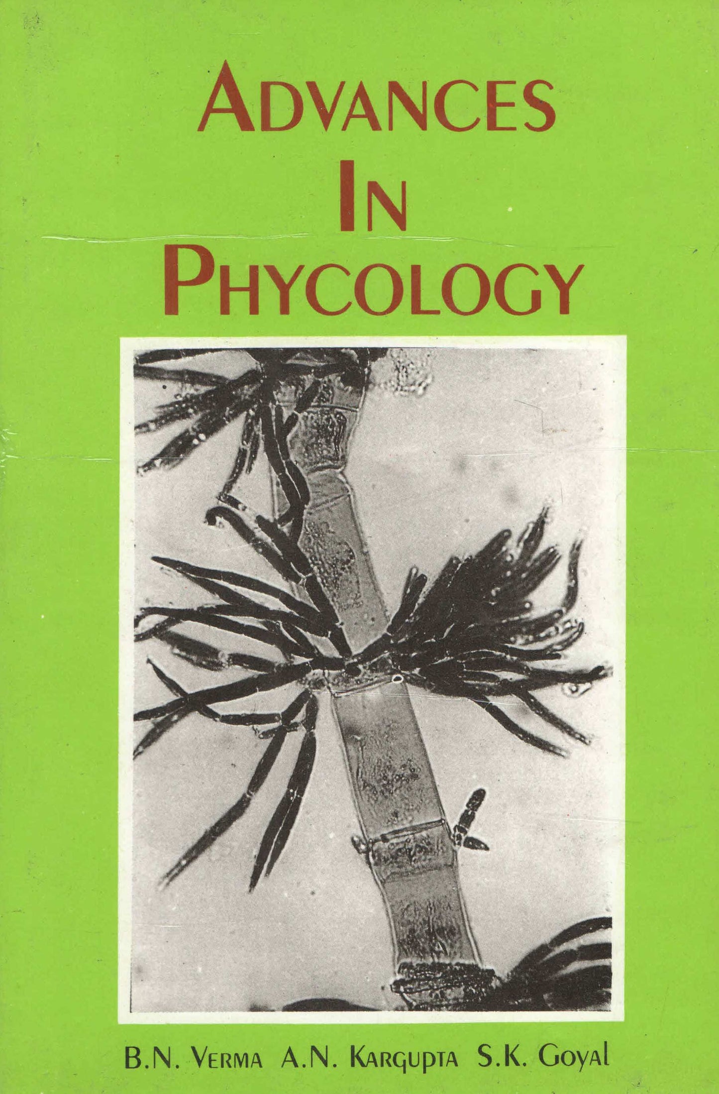 Advances in Phycology By A N Kargupta
