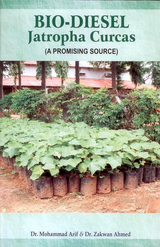 Biodiesel Jatropha Curcas (A Promising Source) By Mohammad Ashraf Khan