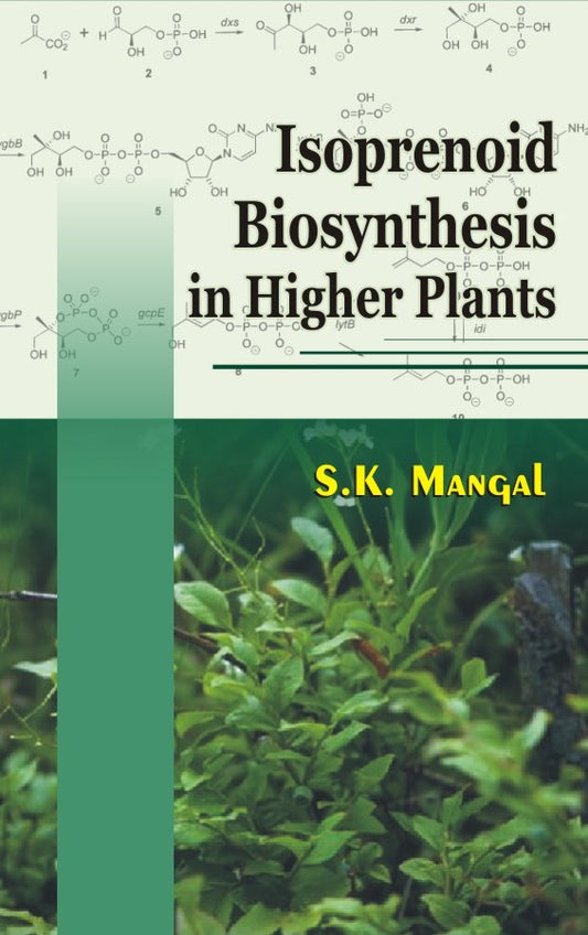 Isoprenoid Biosynthesis in Higher Plants By S K Mangal