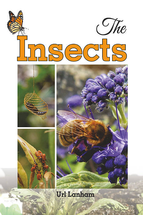 Insects By Url Lanham