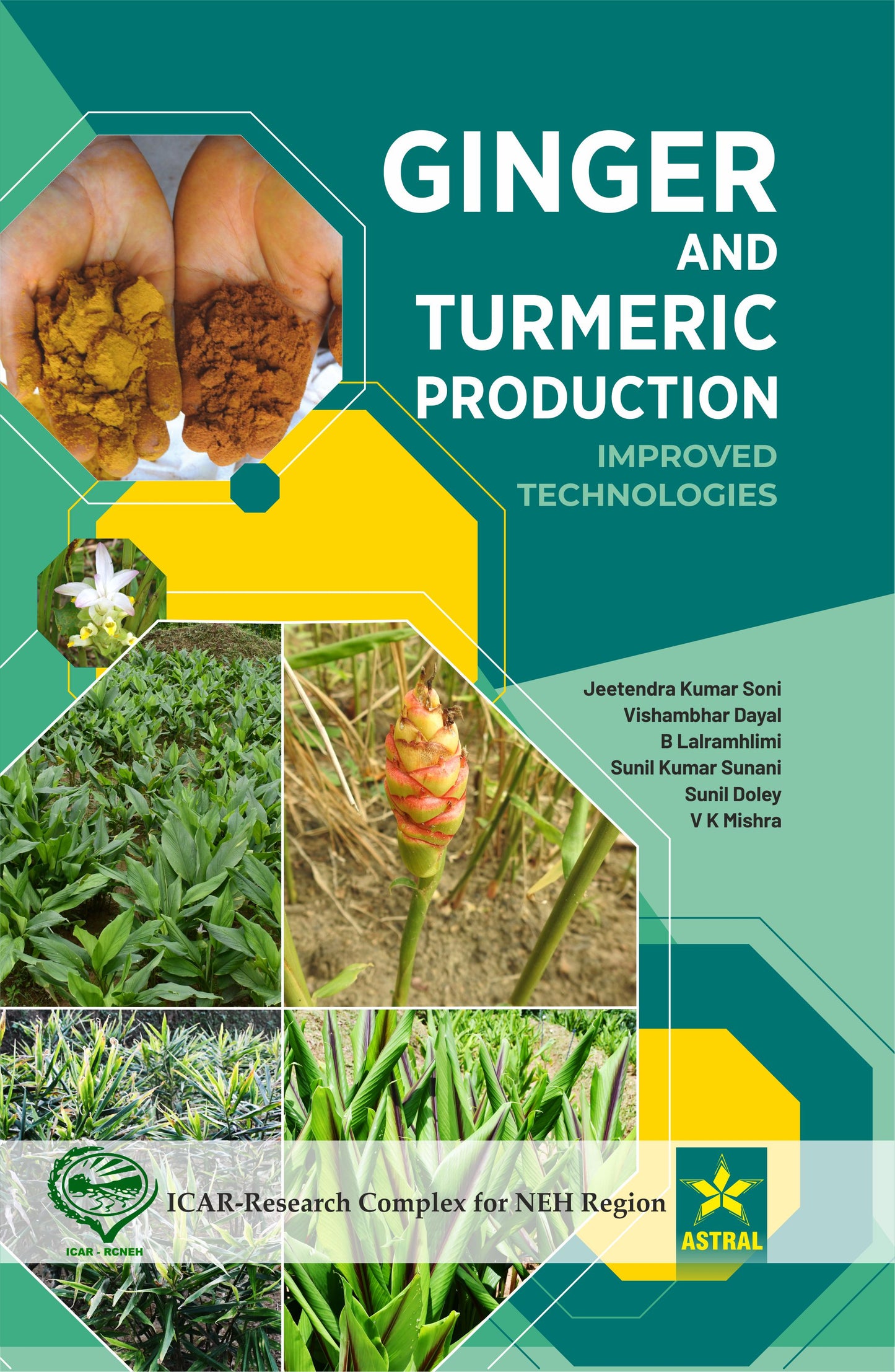 Ginger and Turmeric Production: Improved Technologies By Jeetendra Kumar Soni