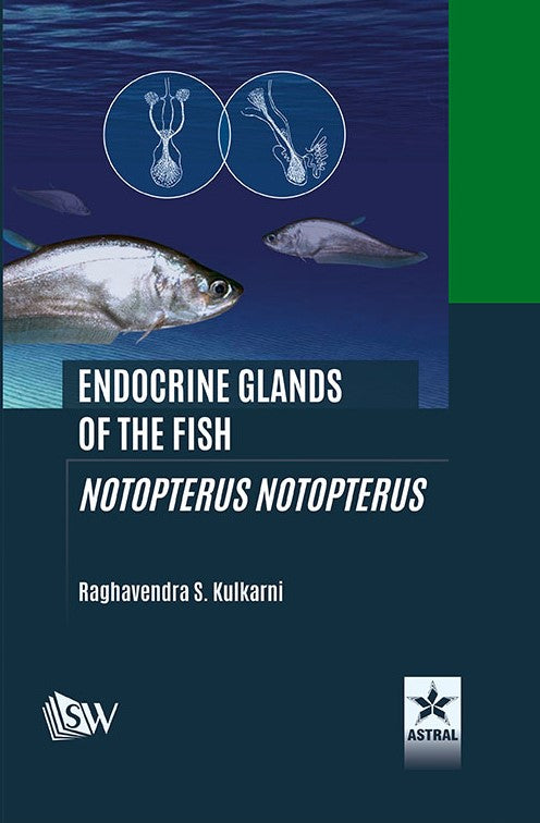 Endocrine Glands of the Fish: Notopterus notopterus By Raghavendra S Kulkarni