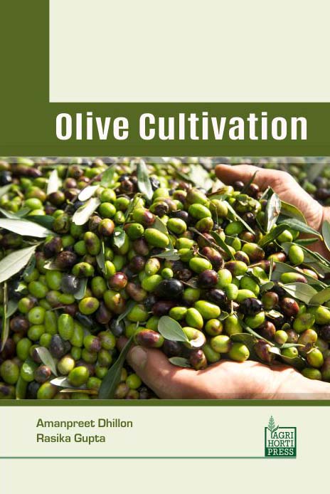 Olive Cultivation By Amanpreet Dhillon