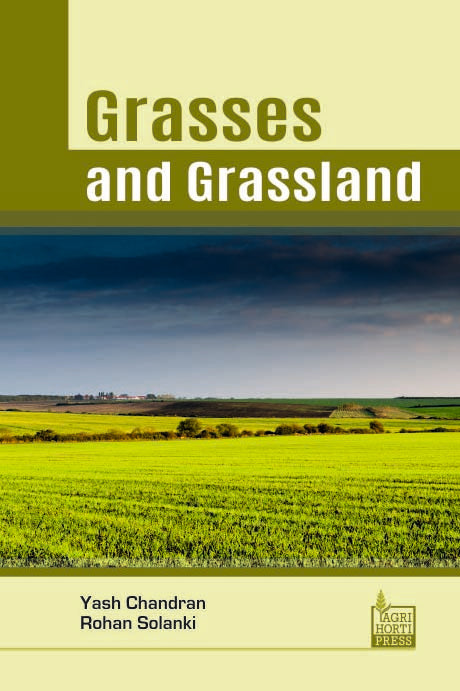 Grasses and Grassland By Yash Chandran