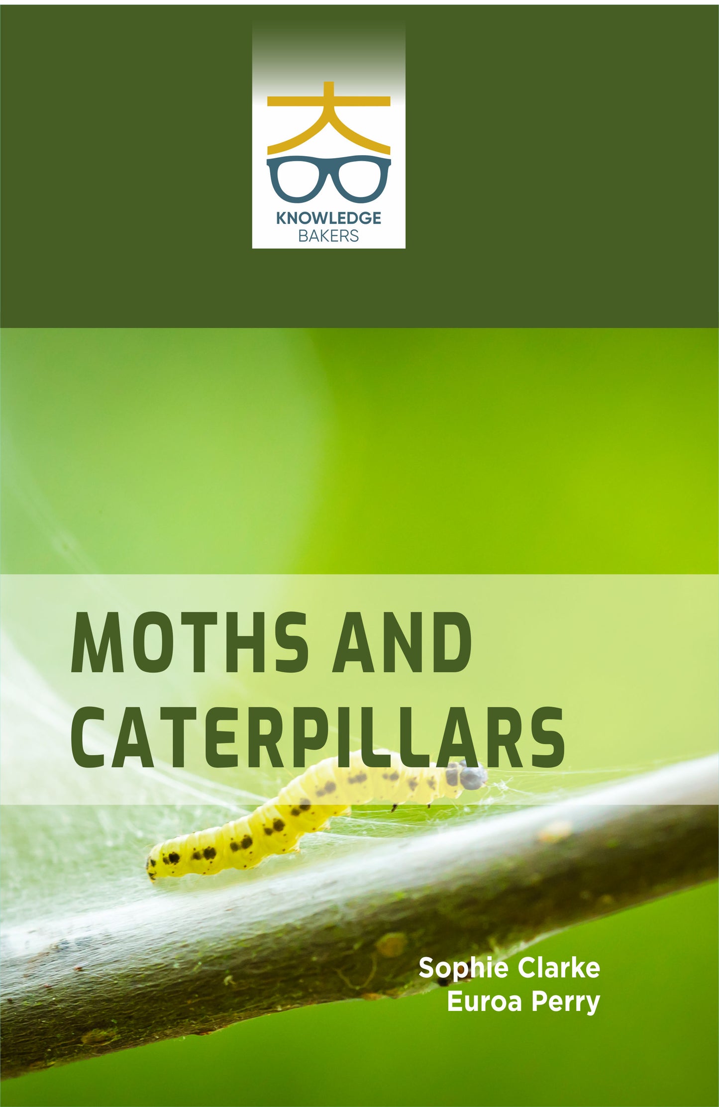 Moths and Caterpillars By Sophie Clarke