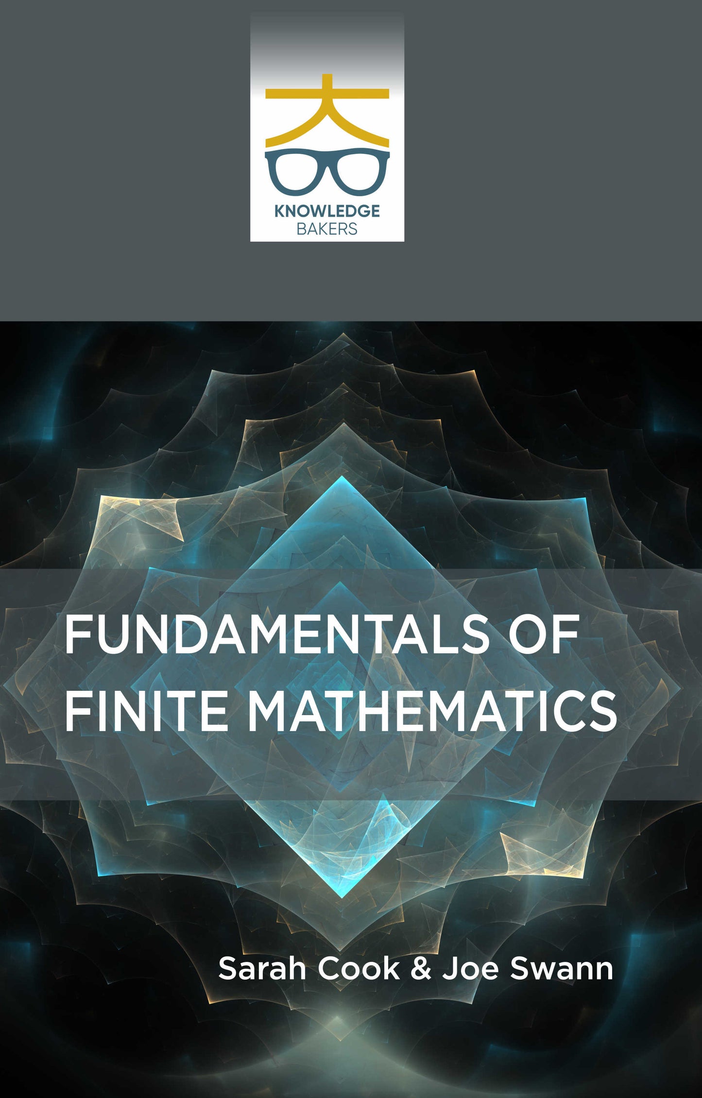 Fundamentals of Finite Mathematics By Sarah Cook